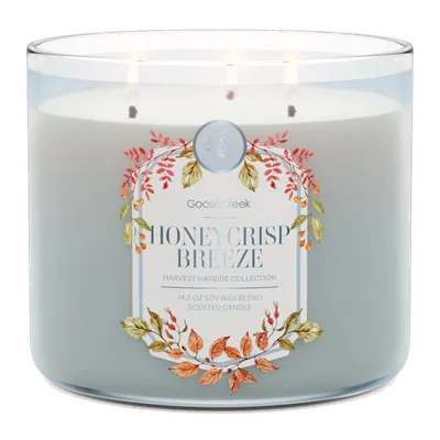 Honeycrisp Breeze candle by Goose Creek
