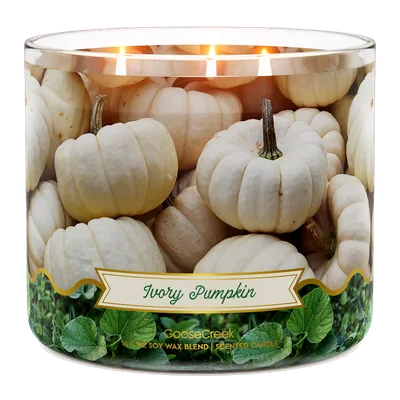 Ivory Pumpkin candle by Goose Creek