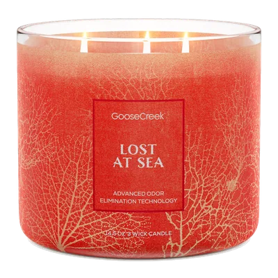Lost at Sea Odor Eliminating candle by Goose Creek