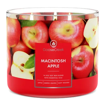 Macintosh Apple candle by Goose Creek