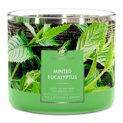 Minted Eucalyptus candle by Goose Creek