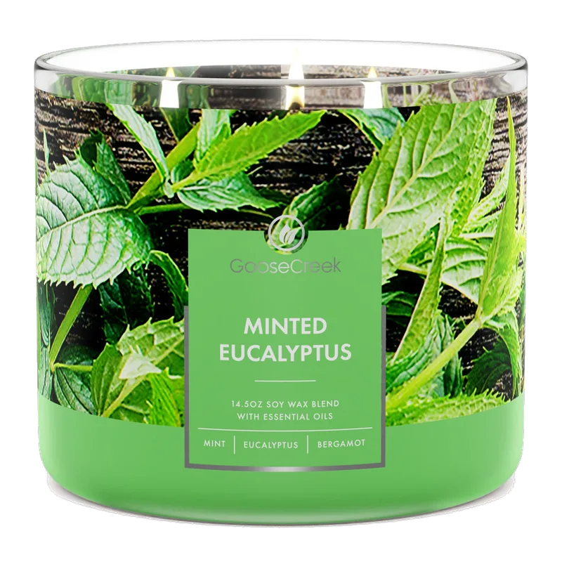 Minted Eucalyptus candle by Goose Creek