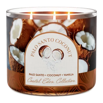 Palo Santo Coconut candle by Goose Creek