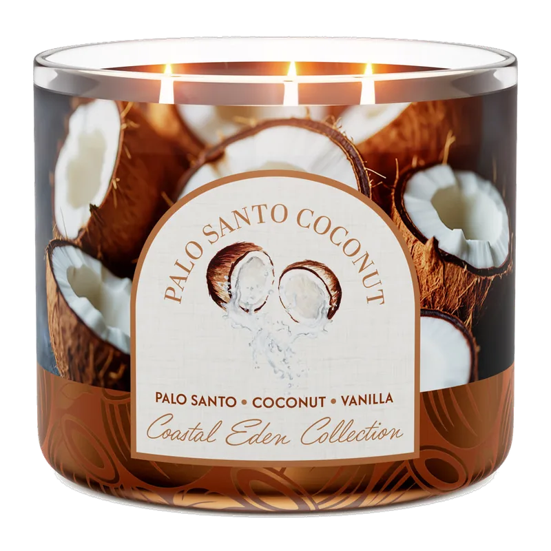 Palo Santo Coconut candle by Goose Creek