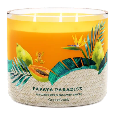 Papaya Paradise candle by Goose Creek