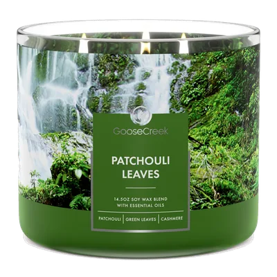 Patchouli Leaves candle by Goose Creek