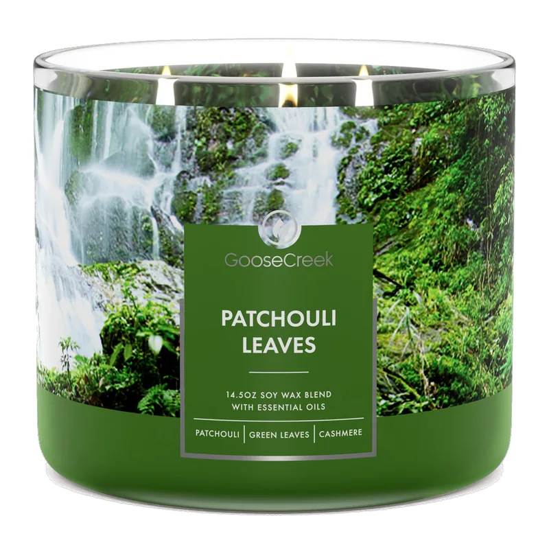 Patchouli Leaves candle by Goose Creek