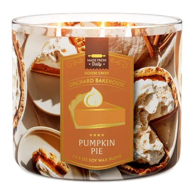 Pumpkin Pie candle by Goose Creek