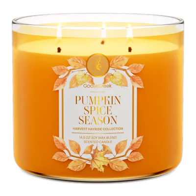 Pumpkin Spice Season candle by Goose Creek