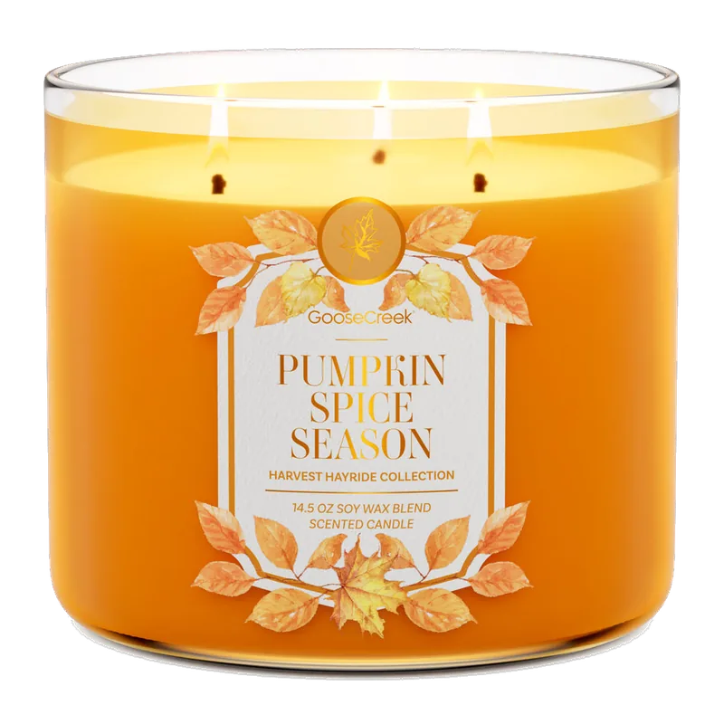 Pumpkin Spice Season candle by Goose Creek