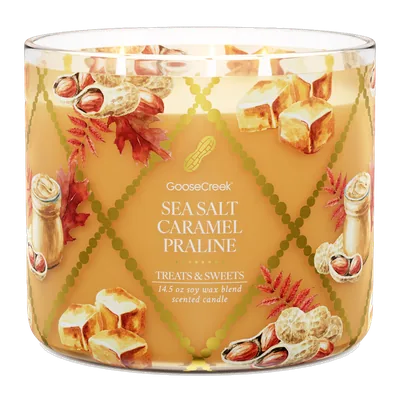 Sea Salt Caramel Praline candle by Goose Creek