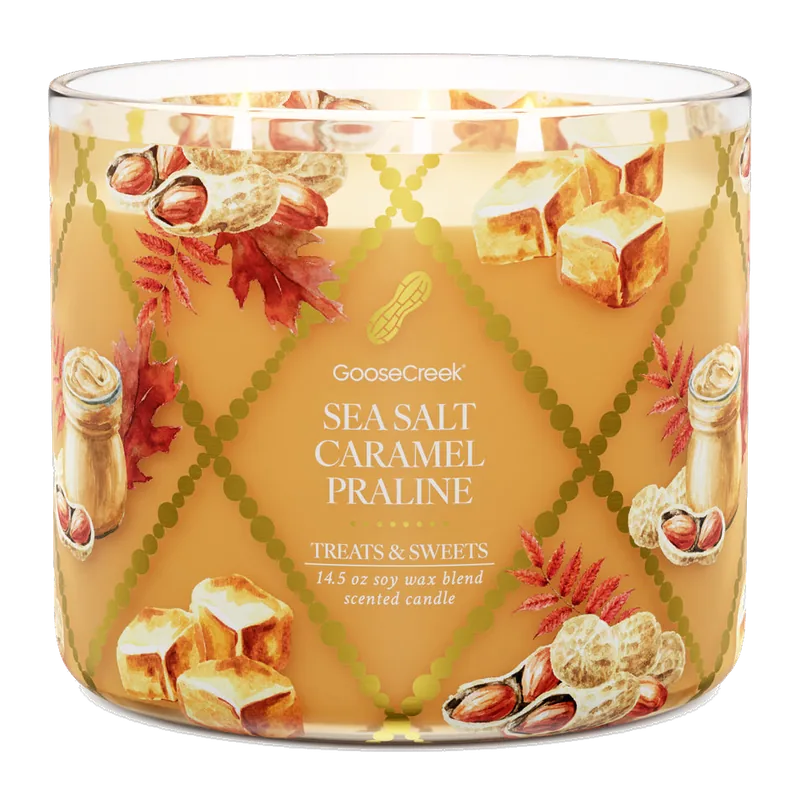Sea Salt Caramel Praline candle by Goose Creek