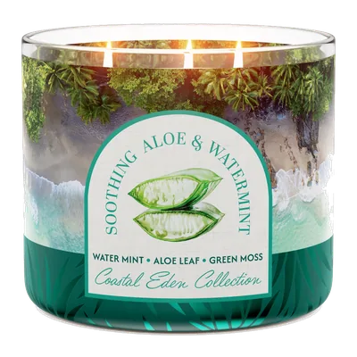 Soothing Aloe & Watermint candle by Goose Creek
