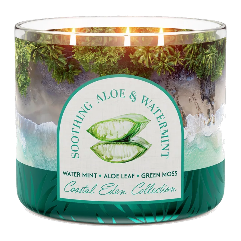Soothing Aloe & Watermint candle by Goose Creek