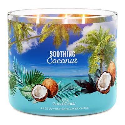 Soothing Coconut candle by Goose Creek