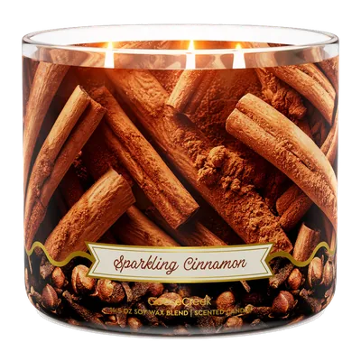 Sparkling Cinnamon candle by Goose Creek