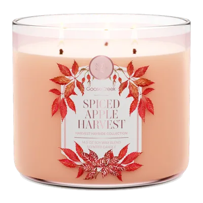 Spiced Apple Harvest candle by Goose Creek