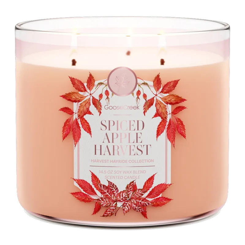 Spiced Apple Harvest candle by Goose Creek