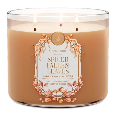 Spiced Fallen Leaves candle by Goose Creek