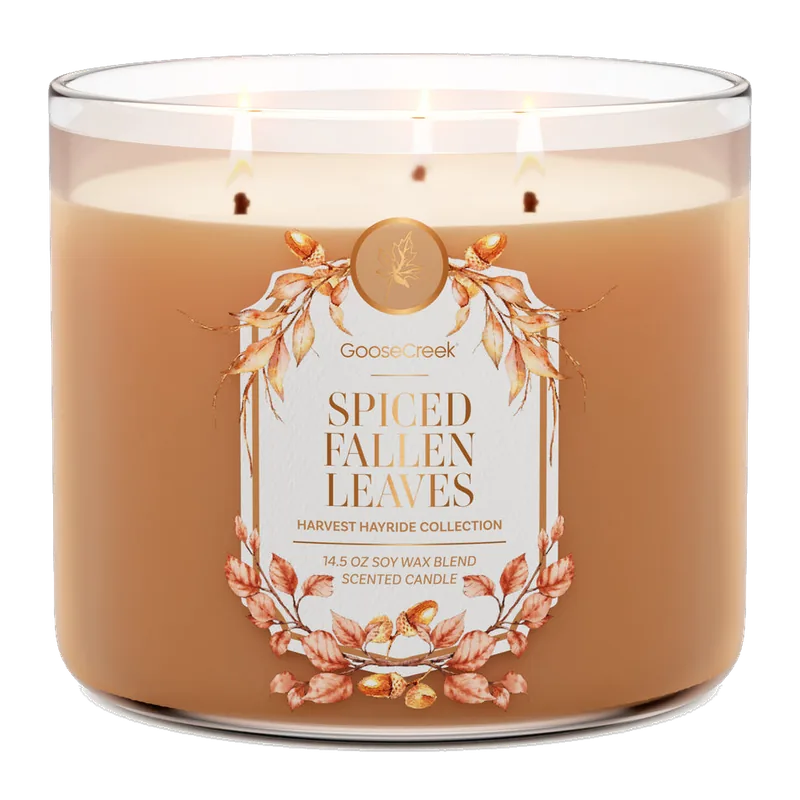 Spiced Fallen Leaves candle by Goose Creek