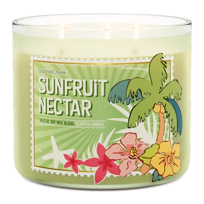 Sunfruit Nectar candle by Goose Creek