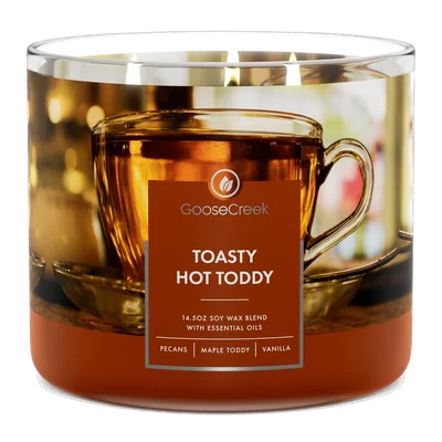 Toasty Hot Toddy candle by Goose Creek