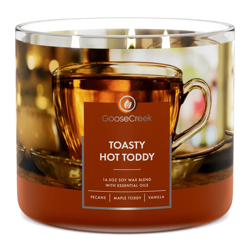 Toasty Hot Toddy candle by Goose Creek
