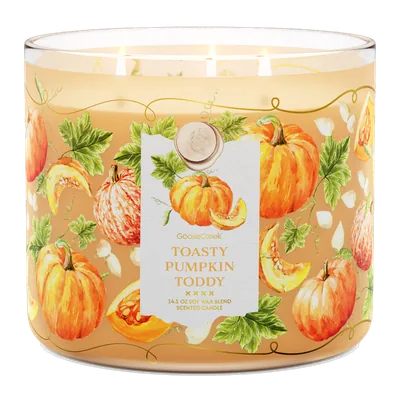 Toasty Pumpkin Toddy candle by Goose Creek