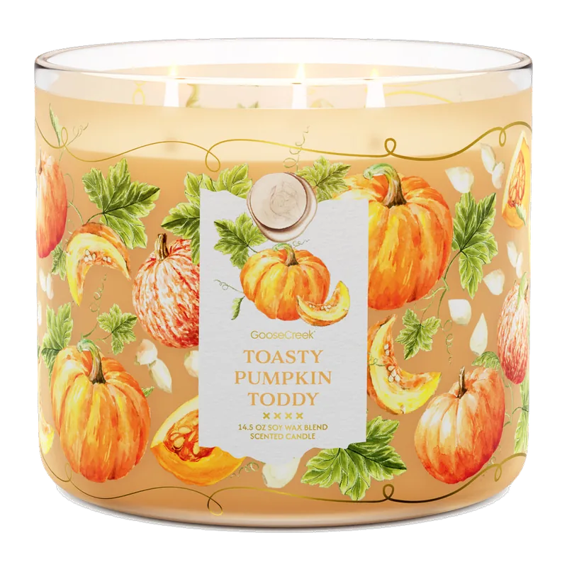 Toasty Pumpkin Toddy candle by Goose Creek