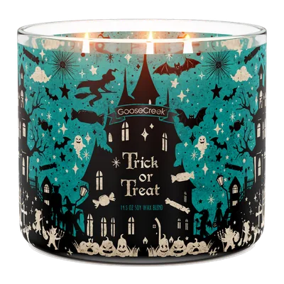 Trick Or Treat candle by Goose Creek