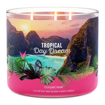 Tropical Daydream candle by Goose Creek