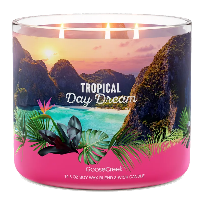 Tropical Daydream candle by Goose Creek