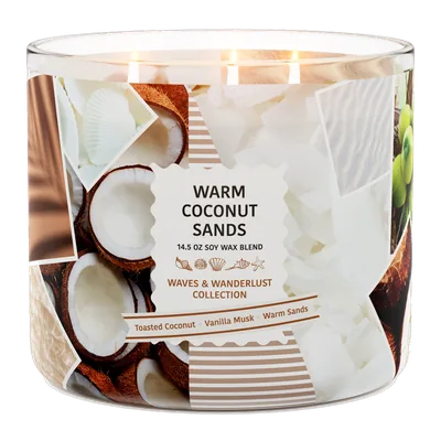 Warm Coconut Sands candle by Goose Creek