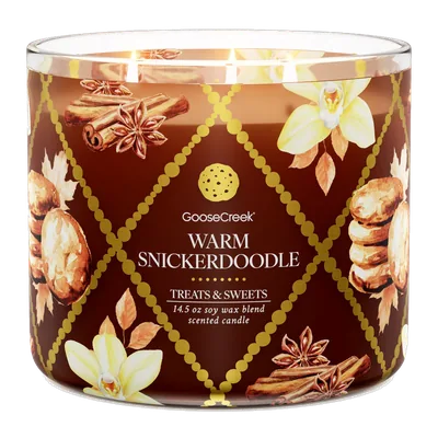 Warm Snickerdoodle candle by Goose Creek