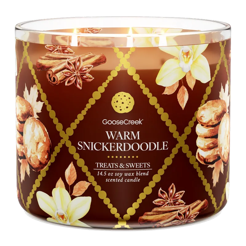 Warm Snickerdoodle candle by Goose Creek
