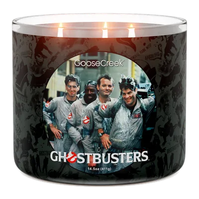 Who Ya Gonna Call? candle by Goose Creek