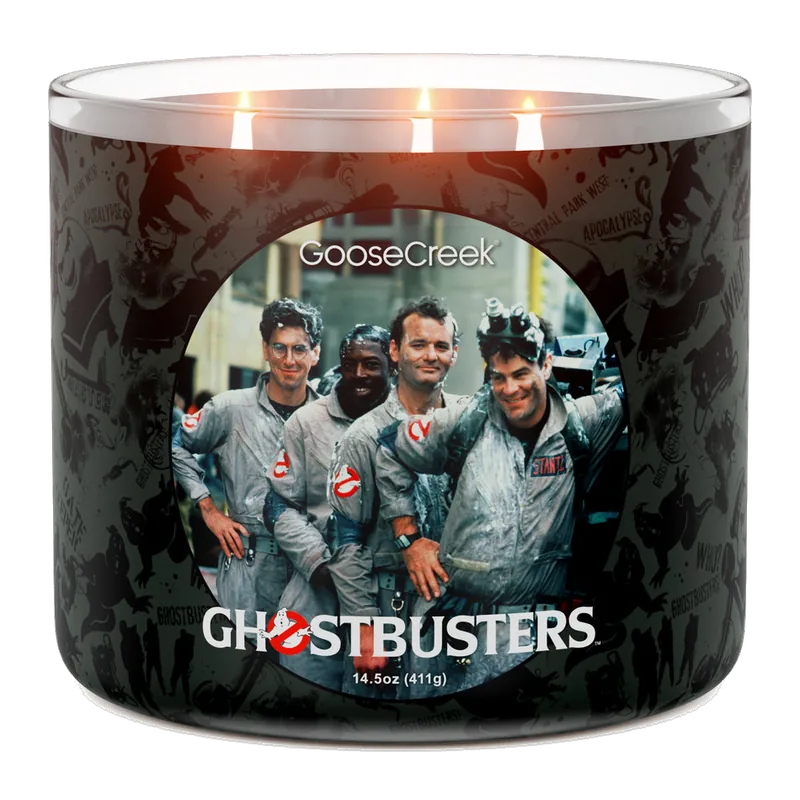 Who Ya Gonna Call? candle by Goose Creek