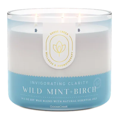 Wild Mint & Birch candle by Goose Creek