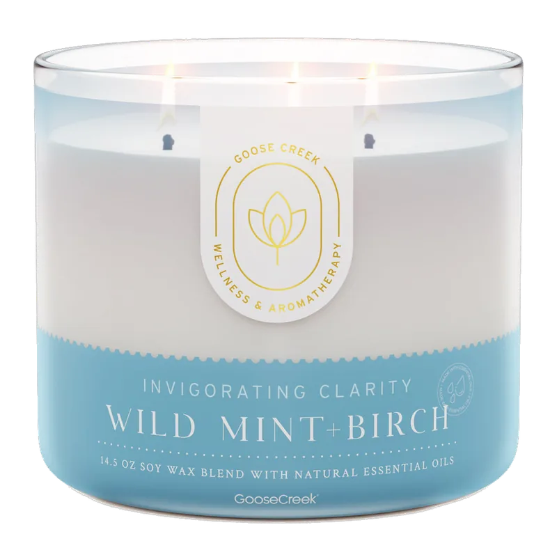 Wild Mint & Birch candle by Goose Creek