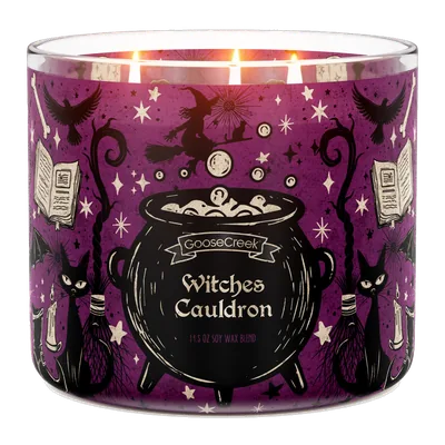 Witch's Cauldron candle by Goose Creek