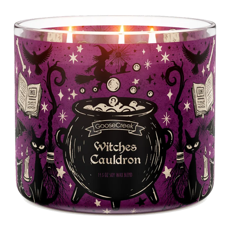 Witch's Cauldron candle by Goose Creek