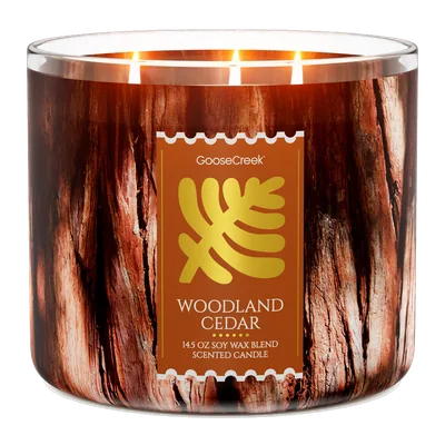 Woodland Cedar candle by Goose Creek